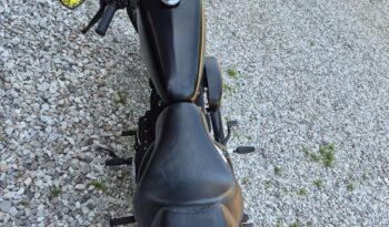 * VENDIDO * HARLEY DAVIDSON XL883N IRON IMPECABLE!!! lleno